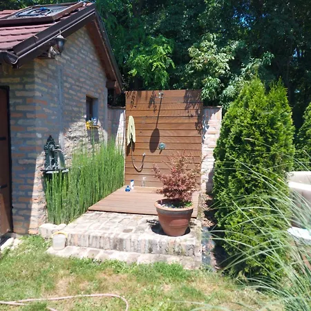 Kuca Na Savi - Stari Hrast *