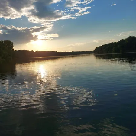 Kuca Na Savi - Stari Hrast